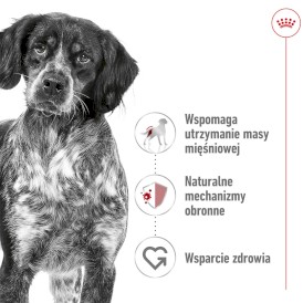 ROYAL CANIN Medium Adult M 4kg - Zdjęcie nr 3
