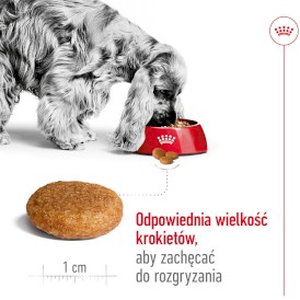 ROYAL CANIN Medium Adult M 4kg - Zdjęcie nr 5