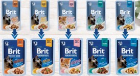 BRIT Premium Cat Gravy Fillets Chicken Kurczak KITTEN 85g - Zdjęcie nr 3
