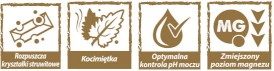 NATURAL GREATNESS Urinary - Struvite Cat 5kg - Zdjęcie nr 3