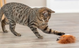 TRIXIE Wiewiórka z kocimiętką Zabawka dla kota - Zdjęcie nr 3