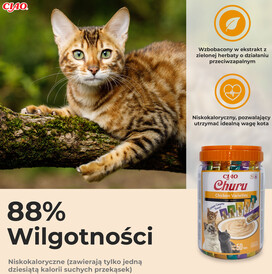INABA Cat Treat Churu Chicken Varieties Mix w Słoiku 50x14g - Zdjęcie nr 4