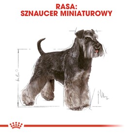 ROYAL CANIN Miniaturowy Schnauzer Adult 7,5kg *WIADRO GRATIS - PROMOCJA ODBIÓR W GŁÓWNYM MAGAZYNIE* - Zdjęcie nr 4