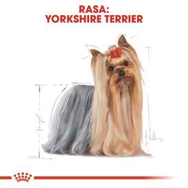 ROYAL CANIN Yorkshire Terrier Adult 7,5kg *WIADRO GRATIS - PROMOCJA ODBIÓR W GŁÓWNYM MAGAZYNIE* - Zdjęcie nr 4