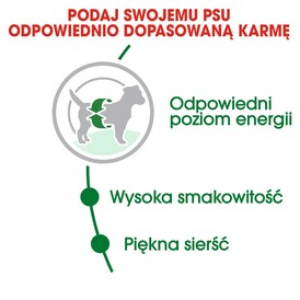 ROYAL CANIN Mini Adult 8kg *WIADRO GRATIS - PROMOCJA ODBIÓR W GŁÓWNYM MAGAZYNIE* - Zdjęcie nr 7