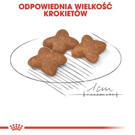 ROYAL CANIN Mini Adult 8kg *WIADRO GRATIS - PROMOCJA ODBIÓR W GŁÓWNYM MAGAZYNIE* - Zdjęcie nr 8
