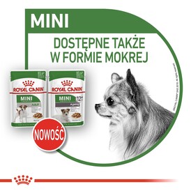 ROYAL CANIN Mini Adult 8kg *WIADRO GRATIS - PROMOCJA ODBIÓR W GŁÓWNYM MAGAZYNIE* - Zdjęcie nr 12