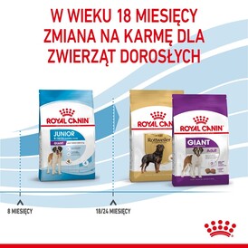 ROYAL CANIN Giant Junior 15kg *WIADRO GRATIS - PROMOCJA ODBIÓR W GŁÓWNYM MAGAZYNIE* - Zdjęcie nr 8