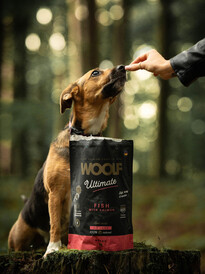 WOOLF Ultimate Adult Fish Salmon karma Półwilgotna 1kg - Zdjęcie nr 2