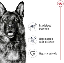 ROYAL CANIN Maxi Adult L 4kg - Zdjęcie nr 3