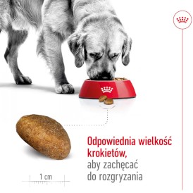 ROYAL CANIN Maxi Adult L 4kg - Zdjęcie nr 5