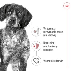 ROYAL CANIN Medium Adult w sosie M 140g - Zdjęcie nr 3