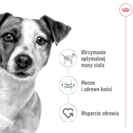 ROYAL CANIN Mini Adult S 4kg - Zdjęcie nr 2