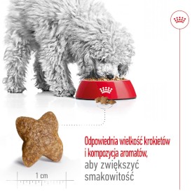 ROYAL CANIN Mini Adult S 4kg - Zdjęcie nr 4