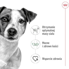 ROYAL CANIN Mini Adult w sosie S 12x85g - Zdjęcie nr 3