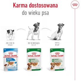 ROYAL CANIN Mini Adult w sosie S 12x85g - Zdjęcie nr 5
