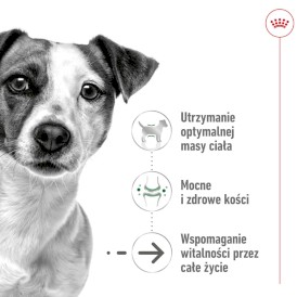 ROYAL CANIN Mini Ageing 8+ w sosie 85g - Zdjęcie nr 2