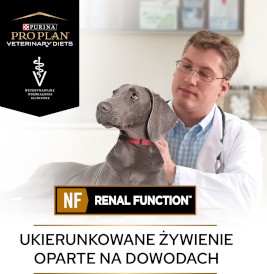 PURINA PVD NF Renal Function Canine 12kg - Zdjęcie nr 7