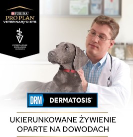 PURINA PVD DRM Dermatosis Canine 3kg - Zdjęcie nr 6