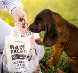 Vet Expert RAW PALEO HG Salmon Barley Puppy 2kg - Zdjęcie nr 5