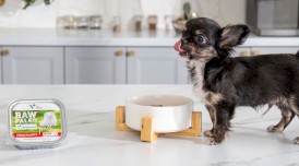 Vet Expert RAW PALEO Mini Puppy Monoprotein Beef 150g - Zdjęcie nr 3