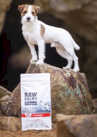 Vet Expert RAW PALEO Mini Adult Ultra Beef 8kg - Zdjęcie nr 5