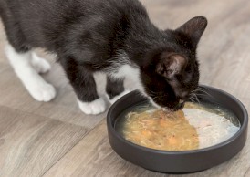 TRIXIE Kittis Shrimp Soup Zupa Kurczak Krewetki dla kota 4x80g - Zdjęcie nr 3