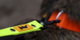 DINGO Flex Honey Smycz treningowa z rączką Żółta 1,6cm x 3m - Zdjęcie nr 11