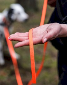 DINGO Flex Honey Smycz treningowa z rączką Pomarańczowa 1,6cm x 3m - Zdjęcie nr 5