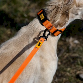 DINGO Flex Smycz treningowa z rączką Pomarańczowa 1,6cm x 5m - Zdjęcie nr 9