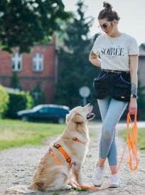 DINGO Flex Smycz treningowa z rączką Pomarańczowa 1,6cm x 5m - Zdjęcie nr 10