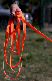 DINGO Flex Honey Smycz treningowa z rączką Żółta 1,6cm x 5m - Zdjęcie nr 13