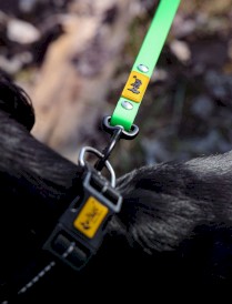 DINGO Flex Honey Smycz treningowa z rączką Pomarańczowa 1,6cm x 3m - Zdjęcie nr 9