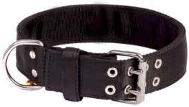 DINGO Bull Obroża dwurzędowa XL 5cm - Zdjęcie główne