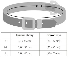 DINGO Terra Sand Obroża wegańska z klamrą metalową Beżowa M - Zdjęcie nr 4