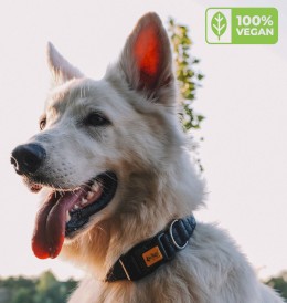 DINGO Terra Ocean Obroża wegańska z zapięciem plastikowym Granatowa S - Zdjęcie nr 7
