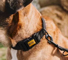 DINGO Qoton Obroża bawełniana Czerwona S 16mm x 35cm - Zdjęcie nr 16