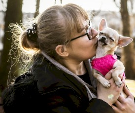 DINGO Szelki bezuciskowe z dwupaskową regulacją Różowe XS - Zdjęcie nr 6