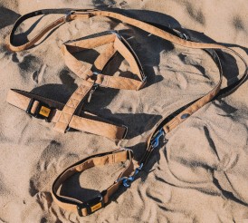 DINGO Terra Sand Szelki wegańskie Guard Beżowe L - Zdjęcie nr 3