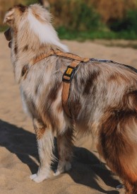 DINGO Terra Sand Szelki wegańskie Guard Beżowe L - Zdjęcie nr 4