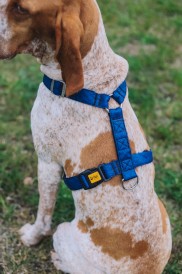 DINGO Terra Ocean Szelki wegańskie Guard Granatowe L - Zdjęcie nr 7