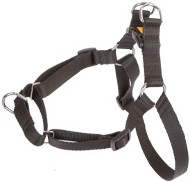 DINGO Easy Walk Szelki z taśmy Czarne Roz.85 - Zdjęcie nr 2