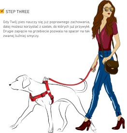 DINGO Easy Walk Szelki z taśmy Czerwone Roz.70 - Zdjęcie nr 6