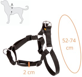 DINGO Easy Walk Szelki z taśmy Czerwone Roz.70 - Zdjęcie nr 3