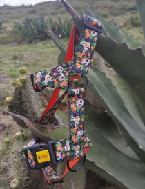 DINGO City Chiapas Szelki Guard S 22-35cm - Zdjęcie nr 7