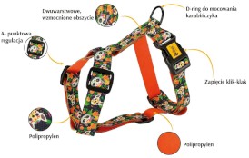 DINGO City Chiapas Szelki Guard S 22-35cm - Zdjęcie nr 2