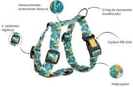 DINGO City Monstera Szelki Guard S 24-45cm - Zdjęcie nr 2