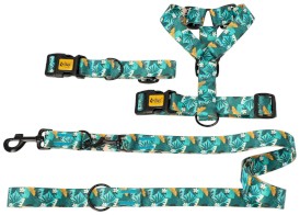 DINGO City Monstera Szelki Guard S 24-45cm - Zdjęcie nr 12