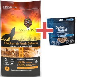 AMBROSIA Dog Adult Chicken / Fresh Salmon Kurczak i Świeży Łosoś 2kg + GRATIS DOLINA NOTECI - Zdjęcie główne