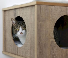 KERBL Drapak Ścienny Dinari Light 110cm - Zdjęcie nr 2